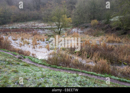 Ein Forsty Wintermorgen am Ufer des Flusses Lathkill mit Frost und ein leichter Nebel. Stockfoto