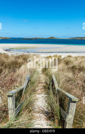 Hölzerne Stufen führen hinunter zu einem Strand in der Nähe von Blockhaus-Punkt. Tresco, Isles of Scilly, Cornwall, England, UK Stockfoto