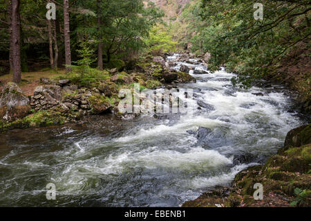 Afon (Fluss) übergibt Glaslyn als es durch den Aberglaslyn-Pass in der Nähe von Beddgelert in Snowdonia, Nordwales. Stockfoto