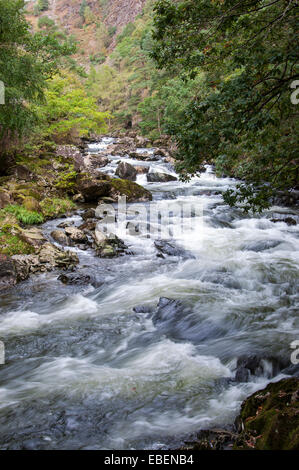 Afon (Fluss) übergibt Glaslyn als es durch den Aberglaslyn-Pass in der Nähe von Beddgelert in Snowdonia, Nordwales. Stockfoto