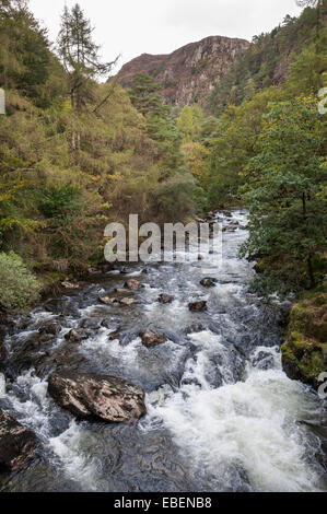 Afon (Fluss) übergibt Glaslyn als es durch den Aberglaslyn-Pass in der Nähe von Beddgelert in Snowdonia, Nordwales. Stockfoto