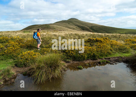 Walker auf den Sugar Loaf Mountain, Wales, UK Stockfoto