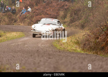 Konkurrent nicht auf Stufe 7 der RAC-Rallye im Hamsterley Wald Stockfoto