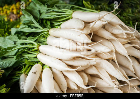 Organischen lokalen Daikon Rettich Gemüse zum Verkauf an Outdoor-asiatischen Markt Stockfoto