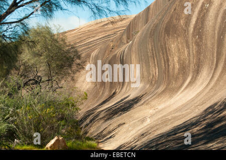 Wave Rock, Hyden, WA, Australien Stockfoto