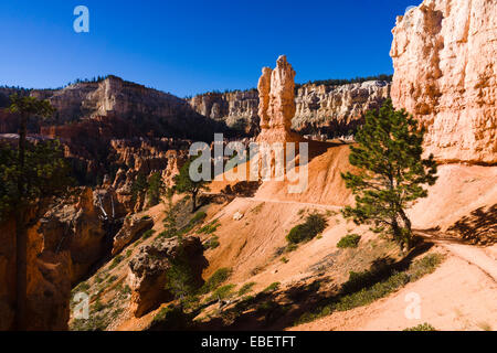 Peekaboo Loop Trail. Bryce-Canyon-Nationalpark, Utah, USA. Stockfoto