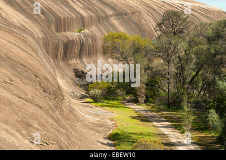 Wave Rock, Hyden, WA, Australien Stockfoto