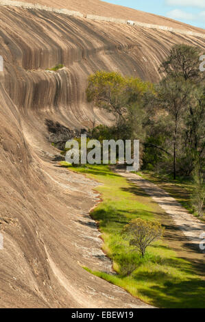 Wave Rock, Hyden, WA, Australien Stockfoto