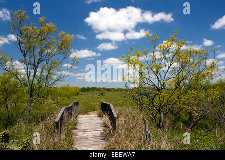 Camp Lula Sams Landschaft - Brownsville, Texas USA Stockfoto