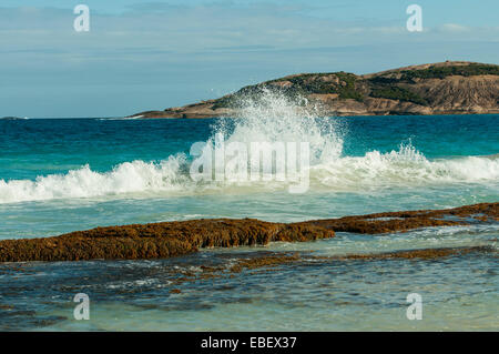 Welle bricht in Blue Haven Bay, Esperance, WA, Australien Stockfoto