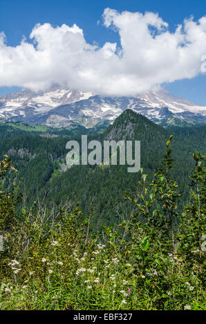 Mount Rainier in der Nähe von Seattle, Washington Stockfoto