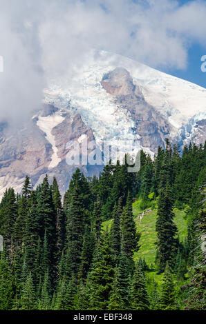 Mount Rainier in der Nähe von Seattle, Washington Stockfoto