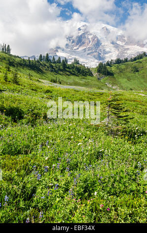 Mount Rainier in der Nähe von Seattle, Washington Stockfoto