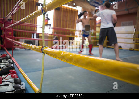 Schüler und Lehrer üben Muay Thai Boxen, Bangkok, Thailand. Stockfoto