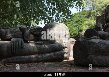 Buddha-Ruinen im Schatten eines Baumes, Wat Mahathat Ayutthaya, Thailand. Stockfoto