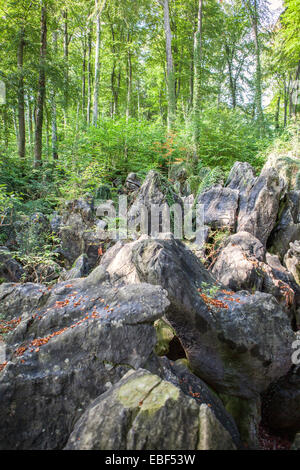 Naturschutzgebiet Felsenmeer, bedeutet "Ozean der Felsen" Sauerlandpark Hemer, Sauerland Region, North Rhine-Westphalia, Deutschland Stockfoto