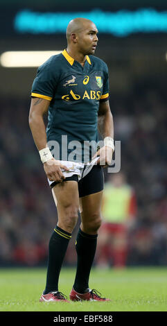 Cardiff, UK. 29. November 2014. Cornal Hendricks von Südafrika - Herbst Internationals - Wales Vs Südafrika - Millennium Stadium - Cardiff - Wales 29. November 2014 - Bild Simon Bellis/Sportimage. Bildnachweis: Csm/Alamy Live-Nachrichten Stockfoto