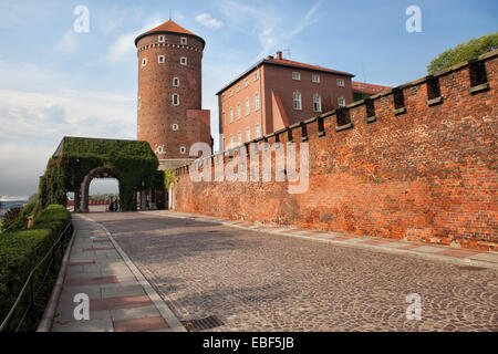 Mittelalterliche Architektur von Sandomierz Turm und Wand Schloss Wawel in Krakau, Polen. Stockfoto