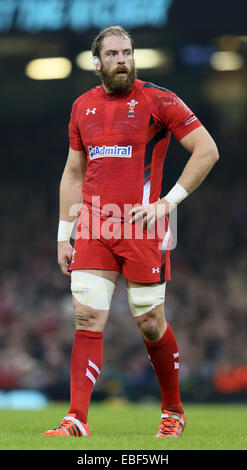 Cardiff, UK. 29. November 2014. Alun Wyn Jones aus Wales - Herbst Internationals - Wales Vs Südafrika - Millennium Stadium - Cardiff - Wales 29. November 2014 - Bild Simon Bellis/Sportimage. Bildnachweis: Csm/Alamy Live-Nachrichten Stockfoto