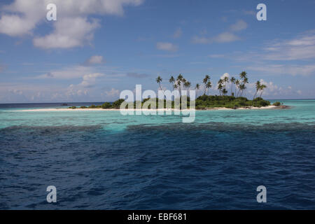 Palme unbewohnten Insel Malediven Stockfoto