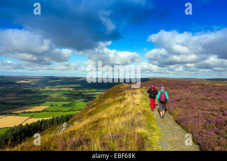 Wanderer auf Cleveland Art und Weise, North York Moors Stockfoto