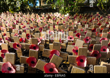 Kleine hölzerne Kreuze mit Mohnblumen, Denkmal des ersten Weltkriegs Stockfoto