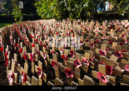 Kleine hölzerne Kreuze mit Mohnblumen, Denkmal des ersten Weltkriegs Stockfoto