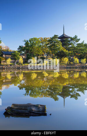 Pagode am Kofuku-Ji-Tempel (UNESCO-Weltkulturerbe), Nara, Kansai, Japan Stockfoto