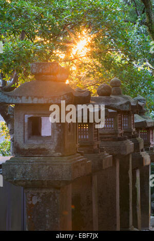 Steinlaternen im Kasuga-Taisha-Schrein (UNESCO-Weltkulturerbe) in der Abenddämmerung, Nara, Kansai, Japan Stockfoto