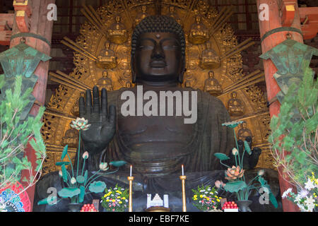 Der Daibutsu (großer Buddha) im Todaiji Tempel (UNESCO-Weltkulturerbe), Nara, Kansai, Japan Stockfoto