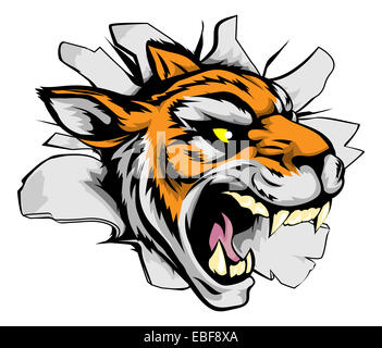 Ein Tiger Sport-Maskottchen oder Zeichen aus dem Hintergrund oder der Wand zu brechen Stockfoto