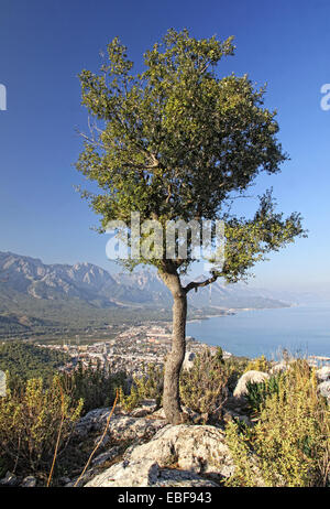 Berge von Kemer-Stadt, Provinz Antalya, Türkei anzeigen Stockfoto