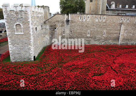 Keramik Mohn Blumen rund um das äußere des Tower of London, Nordufer, London City, England, UK. Stockfoto