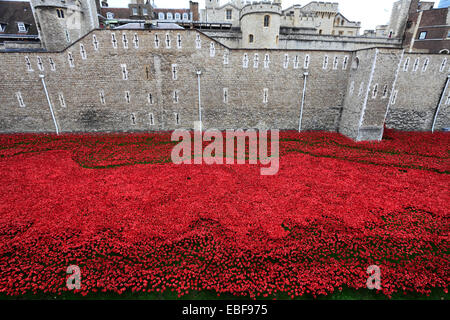 Keramik Mohn Blumen rund um das äußere des Tower of London, Nordufer, London City, England, UK. Stockfoto