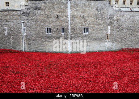 Keramik Mohn Blumen rund um das äußere des Tower of London, Nordufer, London City, England, UK. Stockfoto