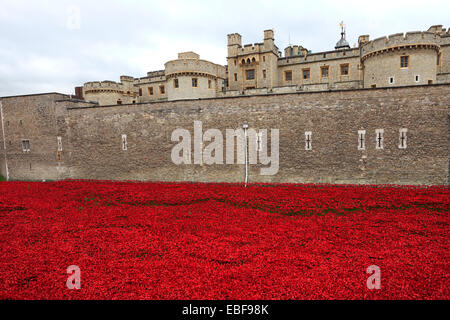 Keramik Mohn Blumen rund um das äußere des Tower of London, Nordufer, London City, England, UK. Stockfoto