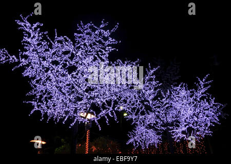 Weihnachtsdekoration Lichter auf Bäumen in Andalusien, Spanien. Stockfoto