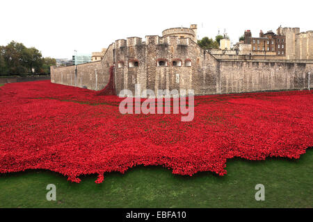 Keramik Mohn Blumen rund um das äußere des Tower of London, Nordufer, London City, England, UK. Stockfoto