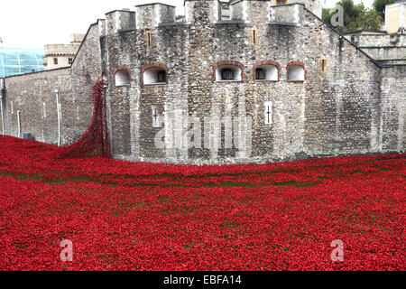 Keramik Mohn Blumen rund um das äußere des Tower of London, Nordufer, London City, England, UK. Stockfoto