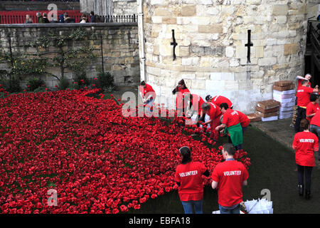 Keramik Mohn Blumen rund um das äußere des Tower of London, Nordufer, London City, England, UK. Stockfoto