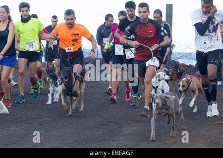 Canicross Rennen/Fun Run in Spanien Stockfoto