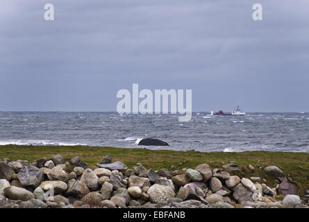 Herbst oder Winter Stürme auf Jæren, westlich der norwegischen Küste in der Nähe von Stavanger Wellen brechen über Steinen und Strand, Frachter in See Stockfoto