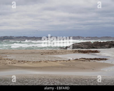 Herbst oder Winter Stürme auf Jæren, westlich der norwegischen Küste in der Nähe von Stavanger Wellen auf den Strand, Brusand Dorf hinter Stockfoto