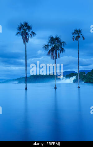 Blaue Stunde Foto mit einem Wasserfall und Palmen in Canaima Venezuela. Stockfoto