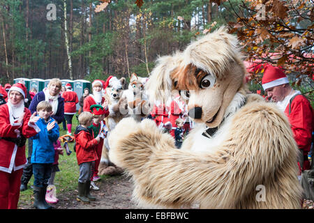 Hunderte von Benefizveranstaltungen gekleidet wie Weihnachtsmänner darauf vorbereiten, in der jährlichen "Santa Dash" um Geld für die Themse Hospiz Stiftung laufen. Stockfoto