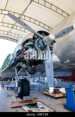 Pratt & Whitney R-1830 Twin Wasp-Motor in einem Restaurierung Projekt Hangar in Florida gearbeitet wird Stockfoto