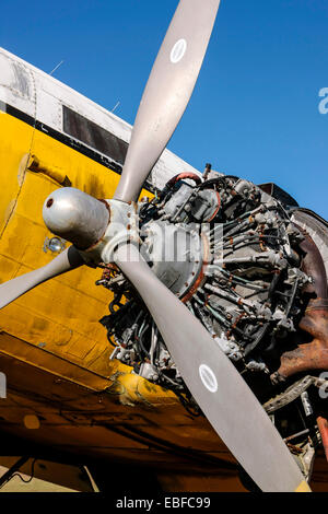 Ohne Verkleidung und offen für die Elemente, einem Pratt & Whitney R-1830 Twin Wasp Sternmotor auf eine Luftfahrt-Schrottplatz in Florida Stockfoto