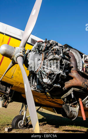 Ohne Verkleidung und offen für die Elemente, einem Pratt & Whitney R-1830 Twin Wasp Sternmotor auf eine Luftfahrt-Schrottplatz in Florida Stockfoto