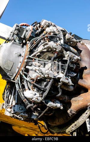 Ohne Verkleidung und offen für die Elemente, einem Pratt & Whitney R-1830 Twin Wasp Sternmotor auf eine Luftfahrt-Schrottplatz in Florida Stockfoto