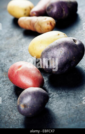 Gemischte Sorten von frischen Kartoffeln Stockfoto